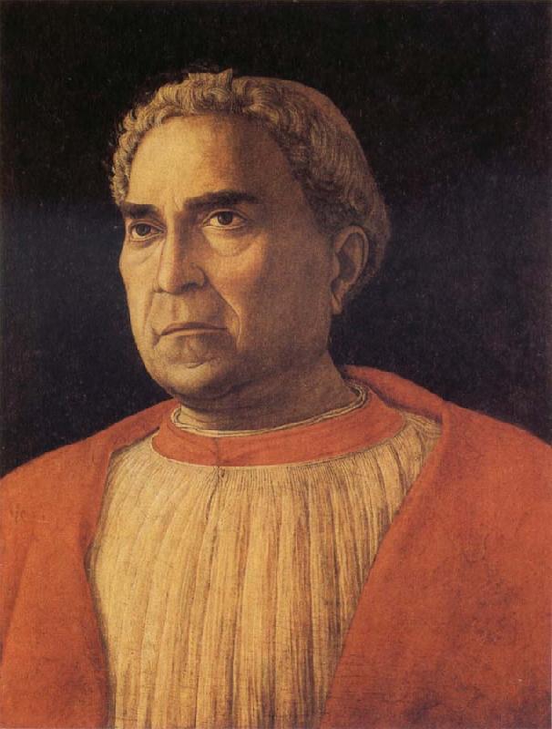 MANTEGNA, Andrea Portrait of  Cardinal Lodovico Trevisano oil painting picture